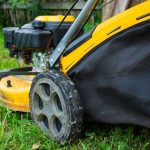 Affordable Lawn Mowers That Deliver a Precise Cut