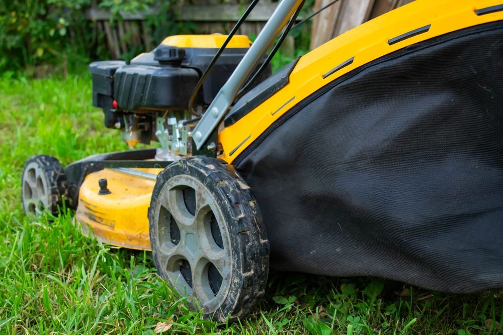 Affordable Lawn Mowers That Deliver a Precise Cut