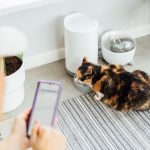 Smart Pet Feeders That Keep Your Pets on Schedule Even When You’re Away