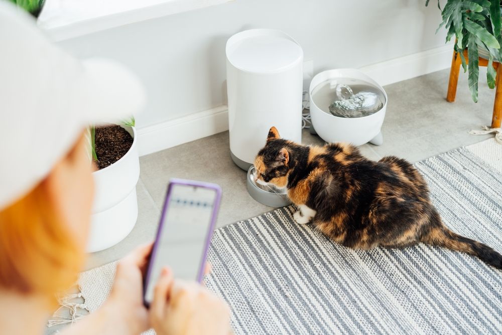 Smart Pet Feeders That Keep Your Pets on Schedule Even When You’re Away